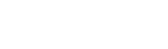 co managed it services